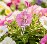 S925 Infinite Life Cross Necklace CZ Zircon Solid Sterling Silver Swirl Cross Necklace Hollow Swirl Jewelry for Women Girls Crucifix